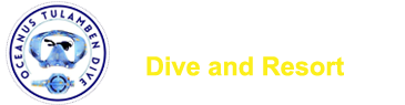 Local Dive Center Service Based in Tulamben Bali | We offer Macro Dive, Dive Course, Fun Dive, Try Scuba, and Snorkeling